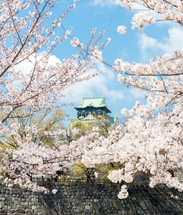 桜に包まれた大阪城